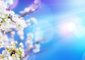 spring ac maintenance