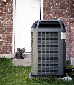 variable speed worth the money