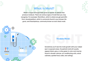 mold thumbnail