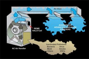 reme halo review covid 19 update