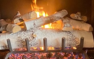 white birch gas log set